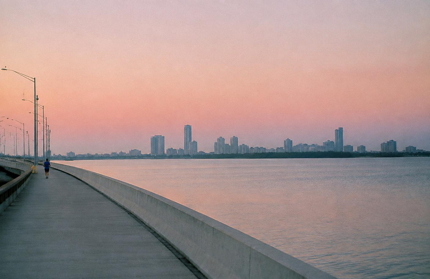 The Art of a Miami Morning